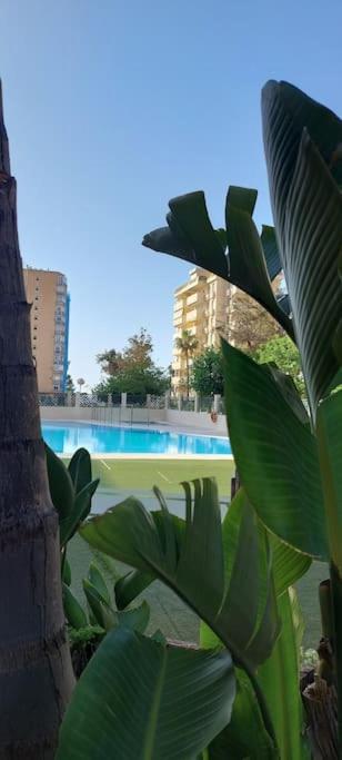 Апартаменты Elegante Alojamiento Con Piscina A 200 M Del Mar. Бенальмадена Экстерьер фото